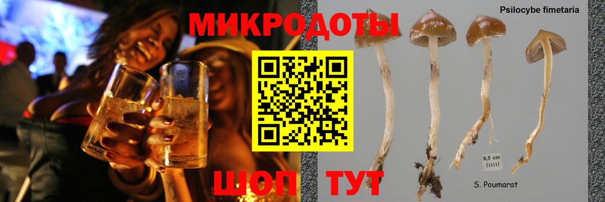 Псилоцибиновые грибы Magic Shrooms Каменск-Шахтинский